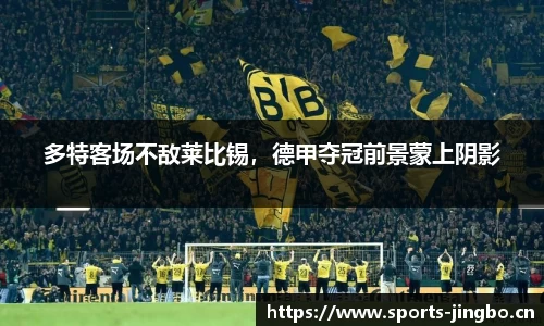 多特客场不敌莱比锡，德甲夺冠前景蒙上阴影